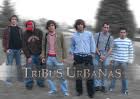 tribus urbanas